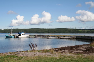 marina