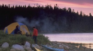 terra-nova-national-park-6621